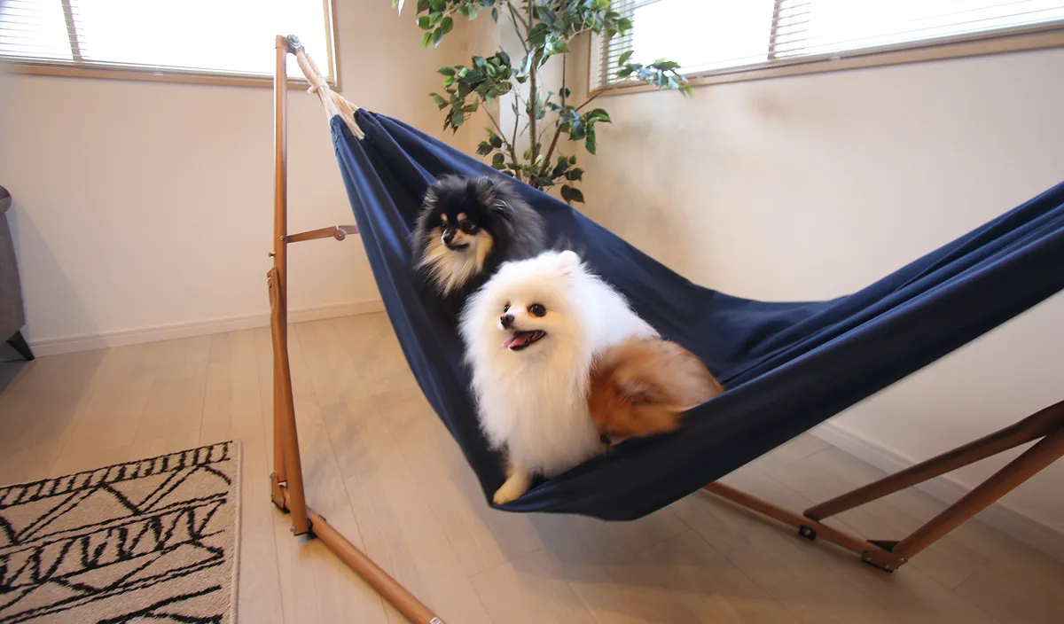 Current Resort East ペットの様子