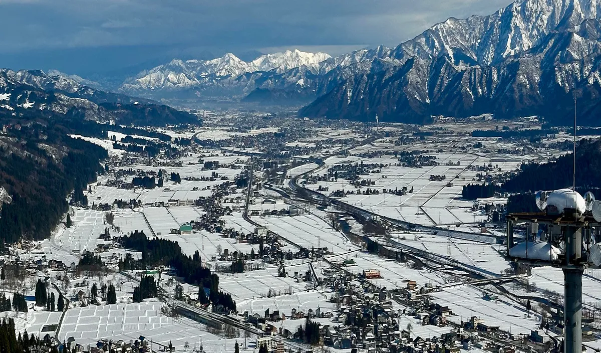 ギャラリー画像01