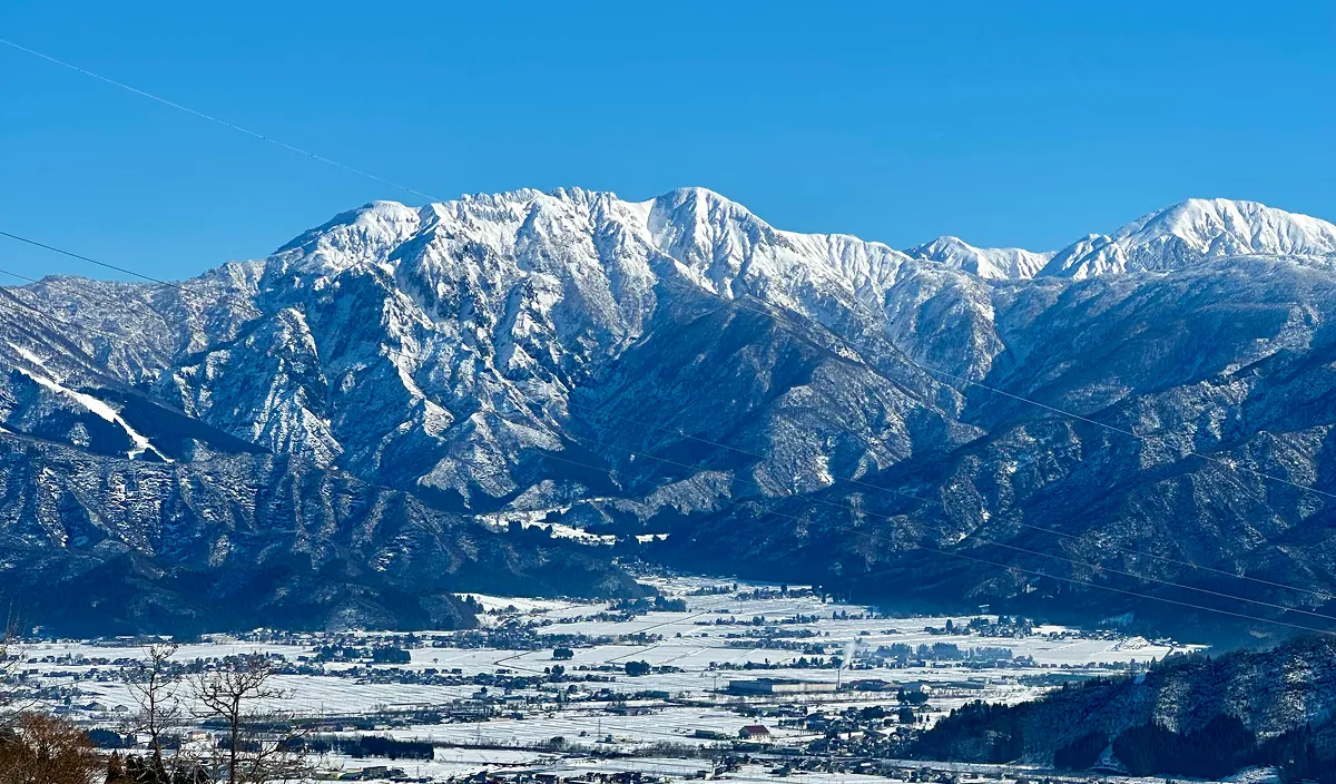 ギャラリー画像05