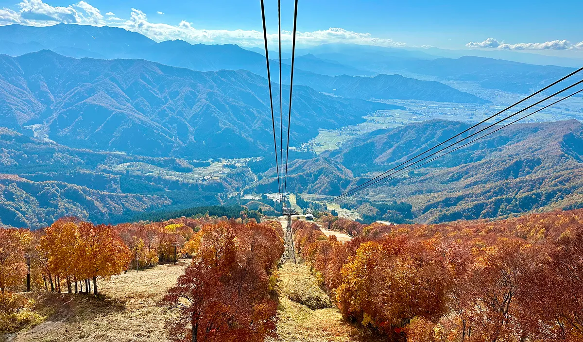 ギャラリー画像06